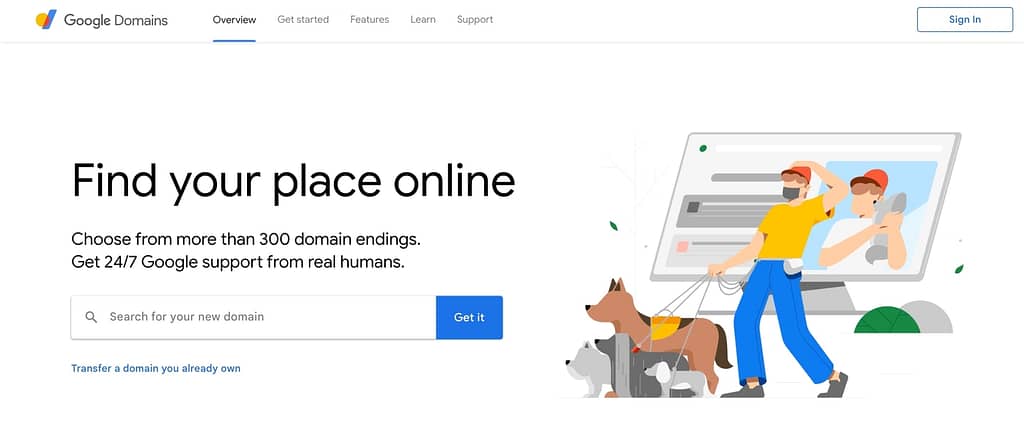 Interface Google Domain